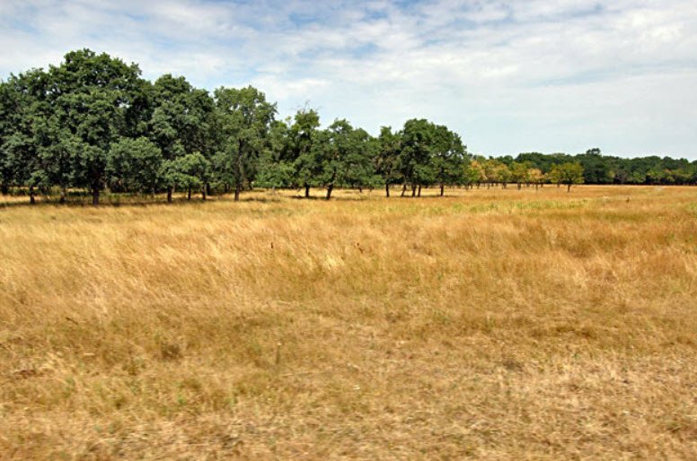 Hortobágy National Park, Great Hungarian Plain (East), Hungary